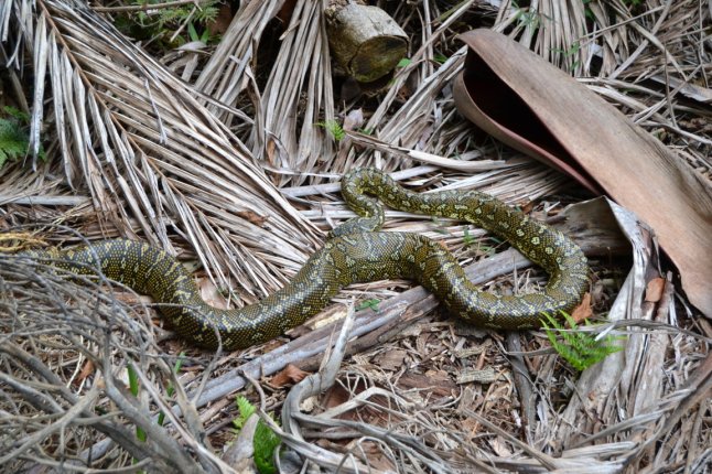 DSC_0206 (FILEminimizer)