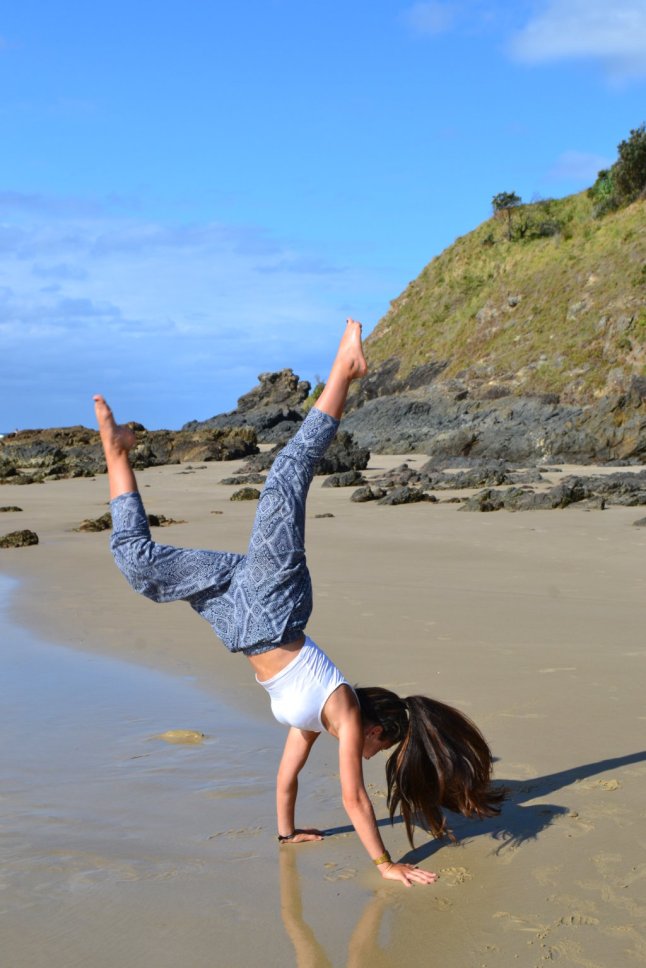 DSC_0309 (FILEminimizer)