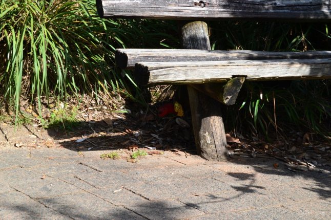 DSC_0330 (FILEminimizer)