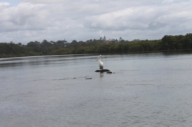 IMG_0402 (FILEminimizer)