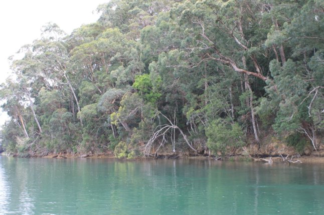 IMG_0417 (FILEminimizer)