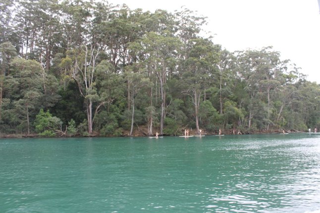 IMG_0433 (FILEminimizer)