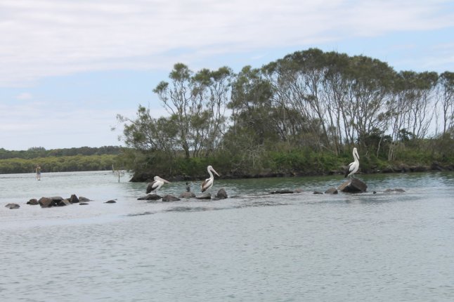 IMG_0440 (FILEminimizer)