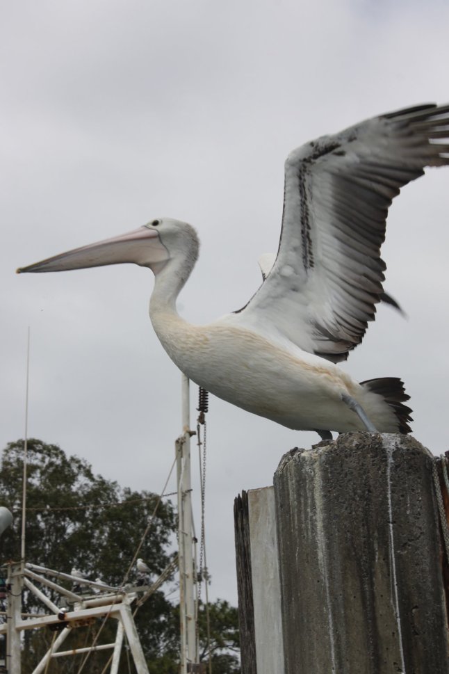 IMG_0445 (FILEminimizer)