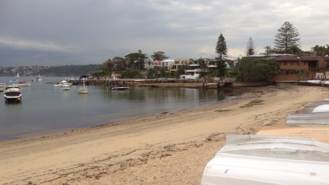 IMG_2375 (FILEminimizer)