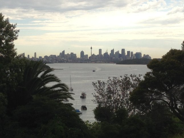 IMG_2381 (FILEminimizer)