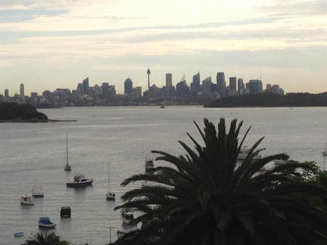 IMG_2388 (FILEminimizer)