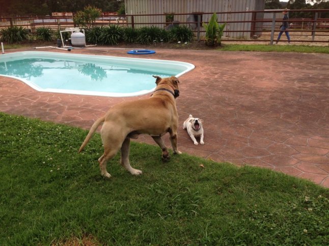 IMG_2502 (FILEminimizer)