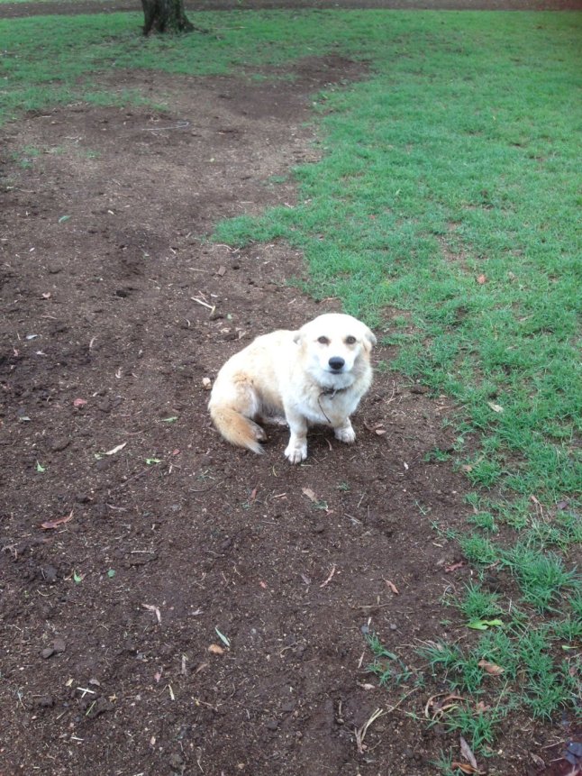 IMG_2849 (FILEminimizer)