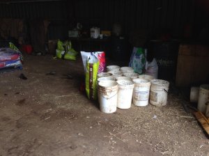 IMG_2900 (FILEminimizer)