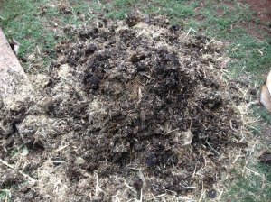 IMG_2915 (FILEminimizer)