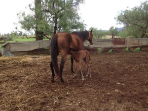 IMG_2939 (FILEminimizer)