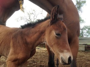 IMG_2952 (FILEminimizer)