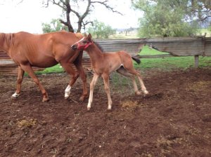 IMG_2954 (FILEminimizer)