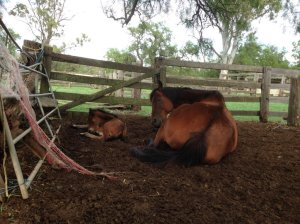 IMG_2963 (FILEminimizer)