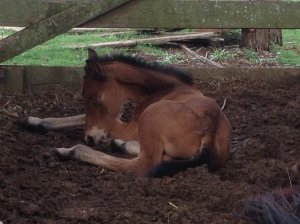 IMG_2967 (FILEminimizer)