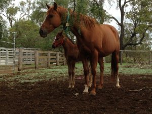 IMG_2969 (FILEminimizer)