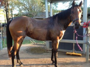 IMG_3001 (FILEminimizer)