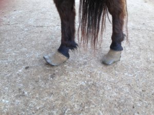 IMG_3034 (FILEminimizer)