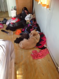 IMG_3049 (FILEminimizer)