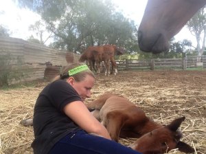 IMG_3061 (FILEminimizer)