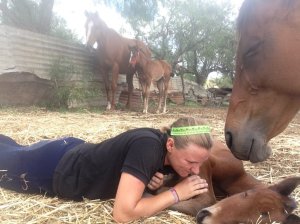 IMG_3063 (FILEminimizer)