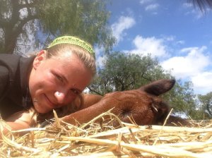 IMG_3068 (FILEminimizer)