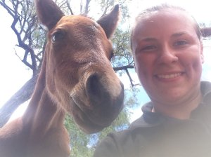 IMG_3085 (FILEminimizer)