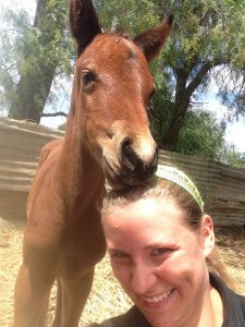 IMG_3091 (FILEminimizer)