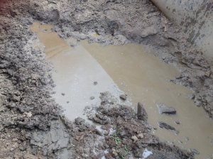 IMG_3171 (FILEminimizer)