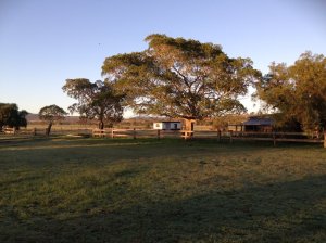 IMG_3188 (FILEminimizer)