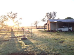 IMG_3191 (FILEminimizer)