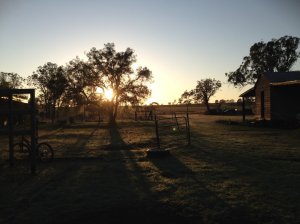 IMG_3192 (FILEminimizer)