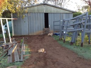 IMG_3193 (FILEminimizer)