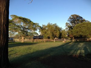 IMG_3195 (FILEminimizer)