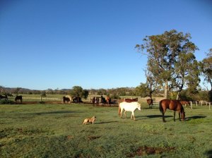 IMG_3201 (FILEminimizer)