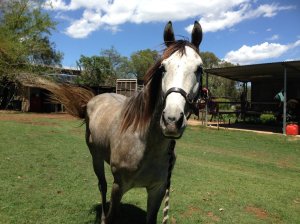 IMG_3204 (FILEminimizer)