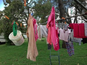 IMG_3212 (FILEminimizer)