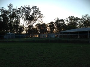 IMG_3218 (FILEminimizer)