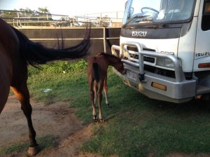 IMG_3221 (FILEminimizer)