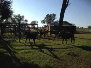 IMG_3241 (FILEminimizer)