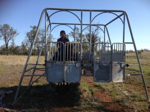 IMG_3251 (FILEminimizer)