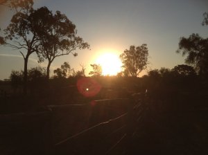 IMG_3327 (FILEminimizer)