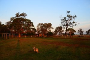 DSC_0006 (FILEminimizer)