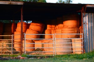 DSC_0012 (FILEminimizer)