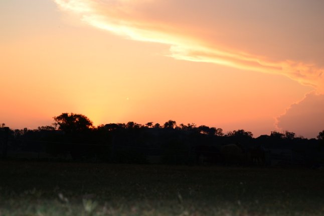 DSC_0038 (FILEminimizer)