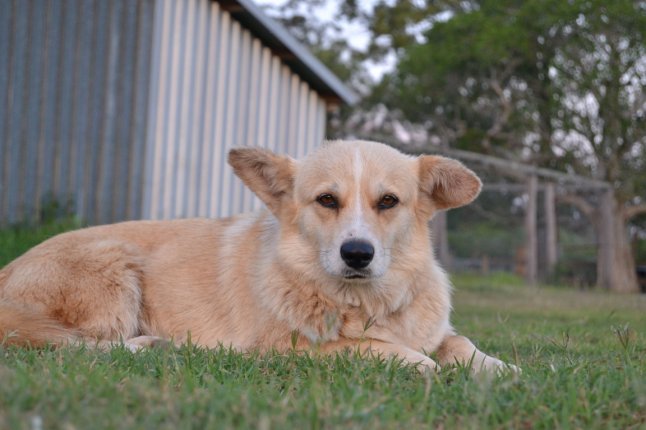 DSC_0068 (FILEminimizer)