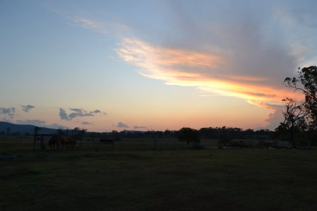 DSC_0071 (FILEminimizer)