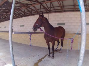 FHD0483 (FILEminimizer)