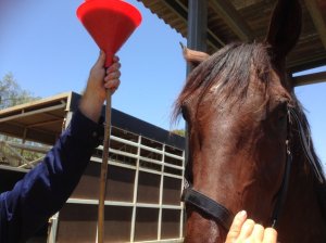 IMG_3380 (FILEminimizer)